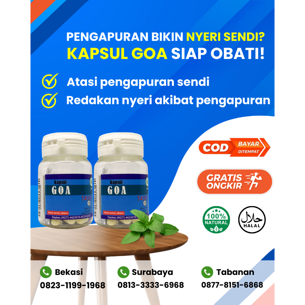 Kapsul GOA | Obat Nyeri Sendi Akibat Pengapuran Sendi - Obat Nyeri Persendian