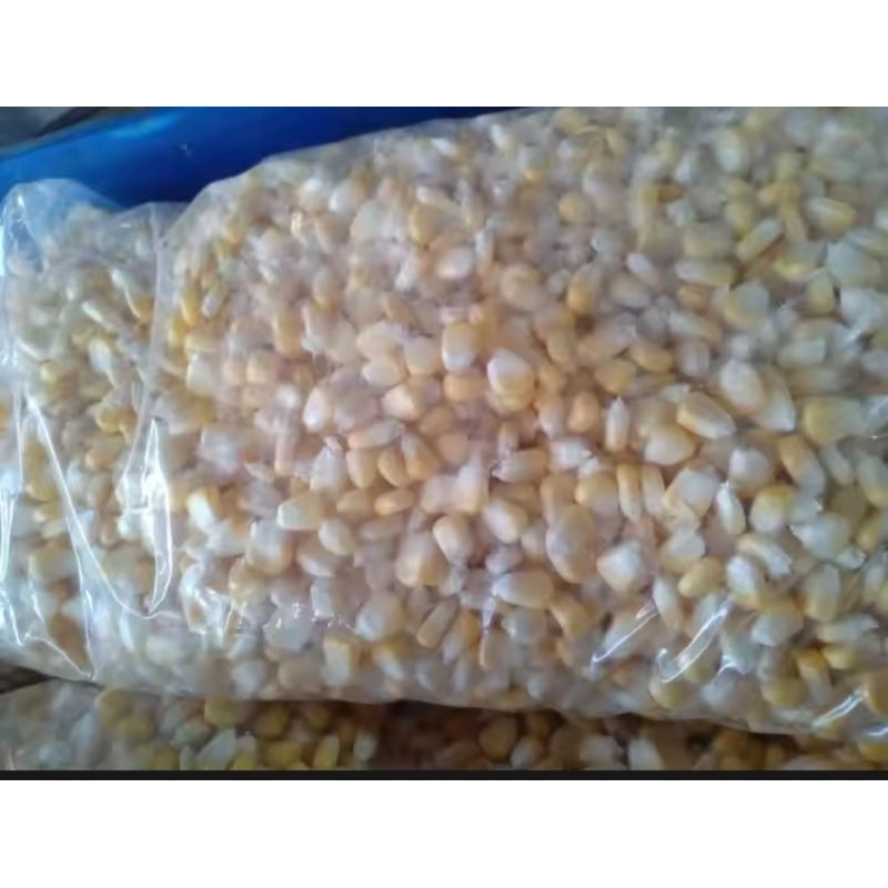 

Jagung manis pipil