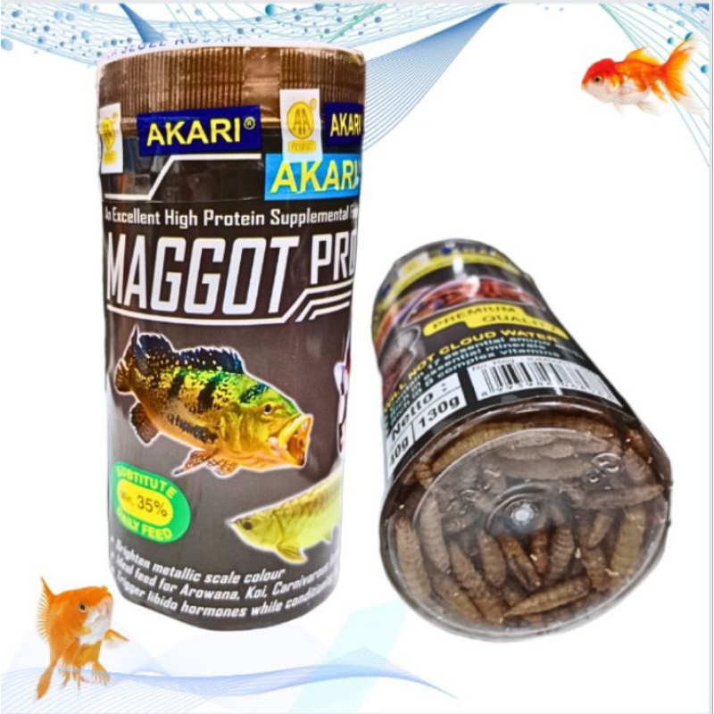 Makanan Ikan Arwana Louhan AKARI AA MAGGOT PRO 40gr