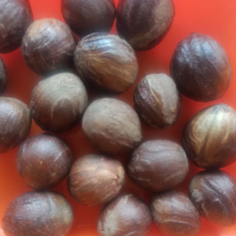 

100 Gram buah Pala utuh - Bumbu Rempah Khas Minang