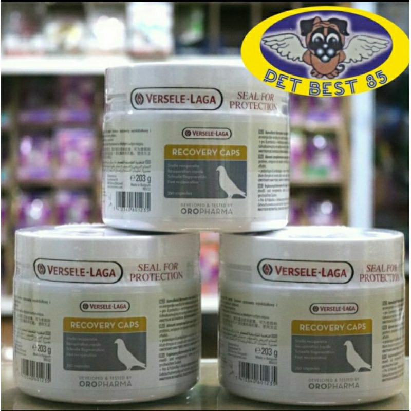 Recovery Caps 350 Capsule Recovery Sakit/Kelelahan Penerbangan Merpati Vitamin Burung Recovery