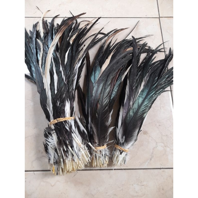 Bulu ayam lancur jumbo panjang isi 100 helai ekor jago hitam dan putih premium costum pakaian adat p