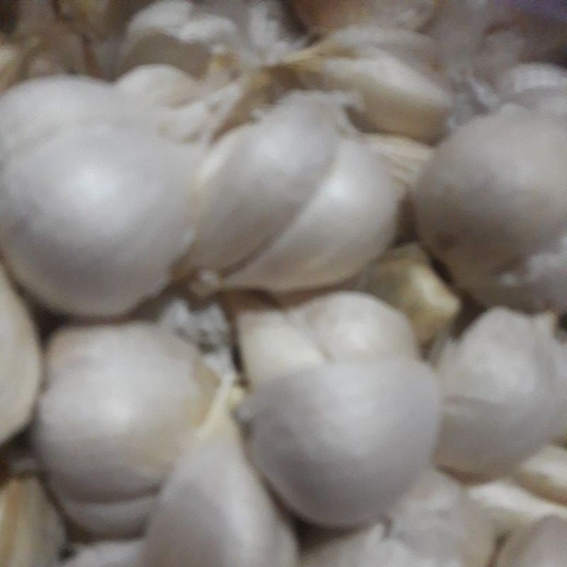 

Bawang putih kating 500 gram