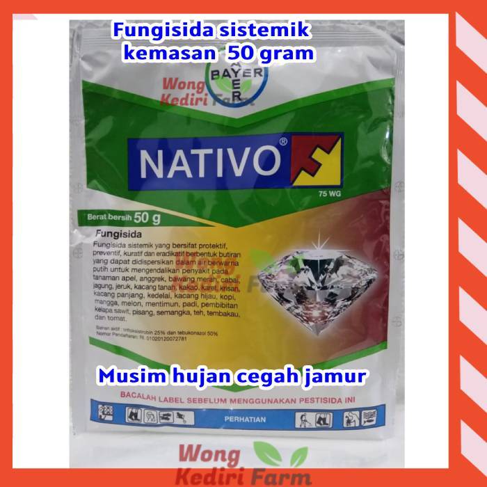 Fungisida Sistemik NATIVO Fungisida 50 gram