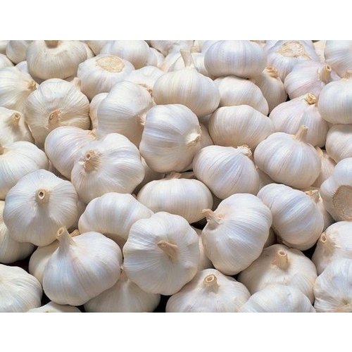 

Bawang Putih Banci 500 gram