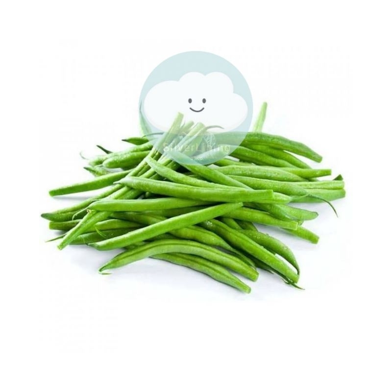 

BABY BUNCIS SEGAR FRESH 500G