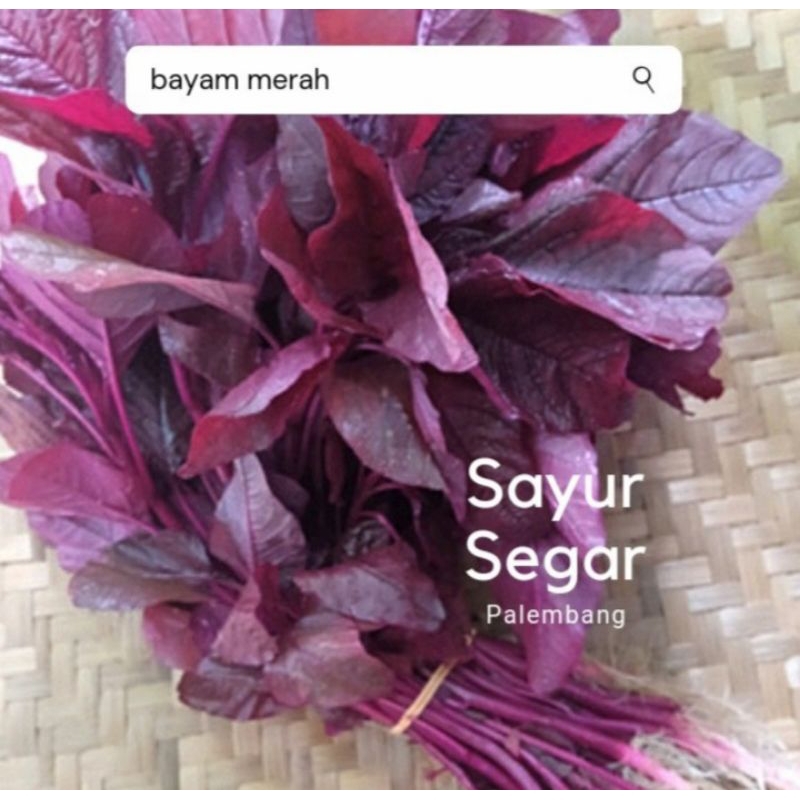 

Bayam Merah per ikat Sayur Segar Palembang