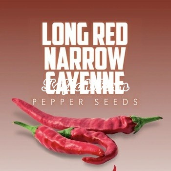 Benih 5 Biji PEPPER Long Red Narrow Cayenne