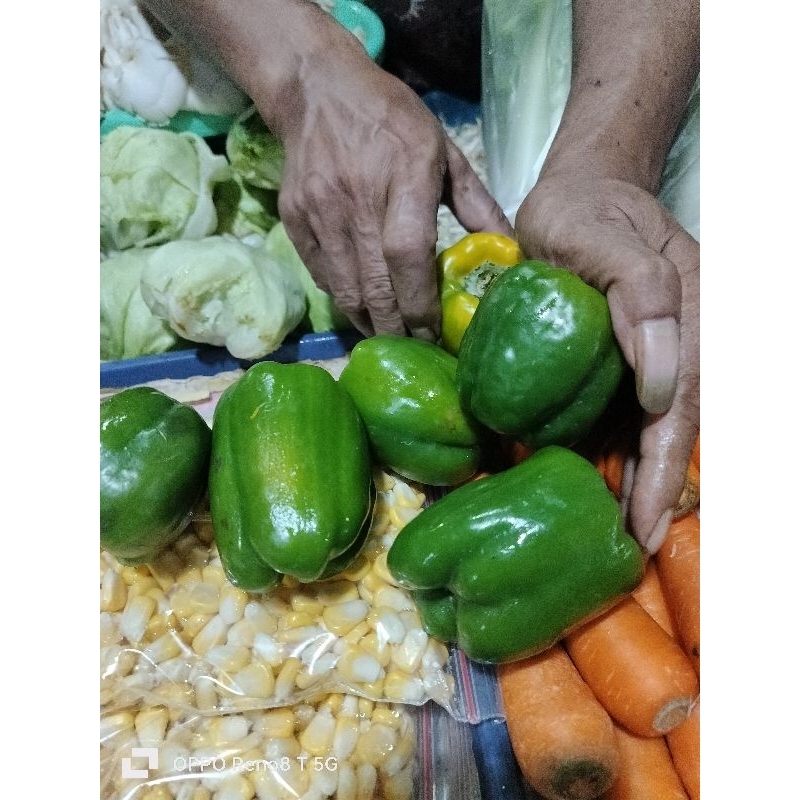 

paprika hijau, merah, kuning, fresh
