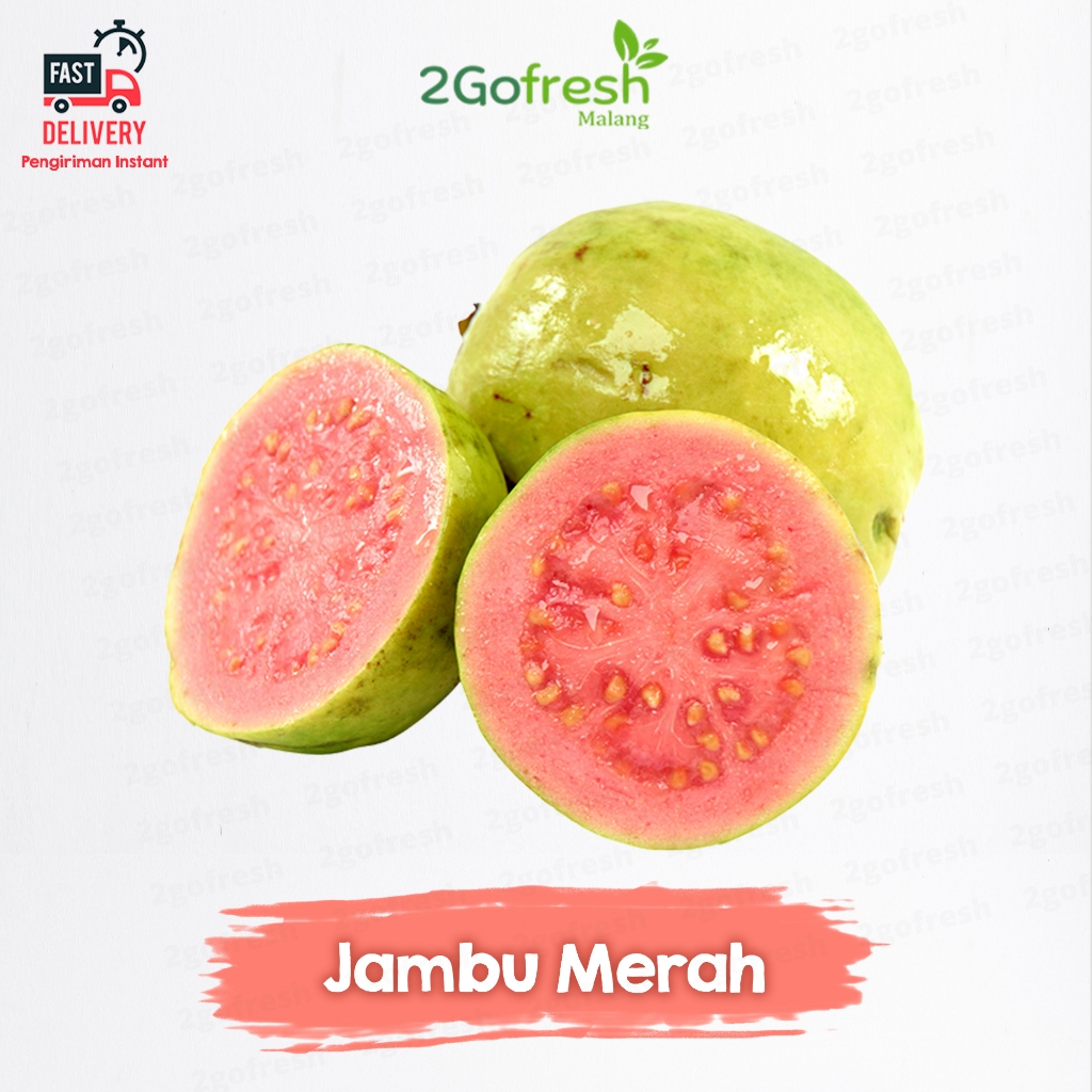 

Buah Jambu Merah Fresh - Rempah Sayur Sayuran & Buah Buahan