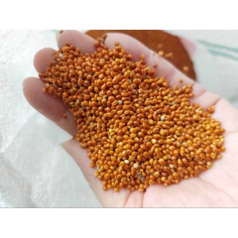Milet Merah Import Makanan Burung 25 kg