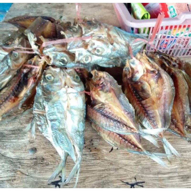 

ikan katombo/ikan asin/ikan garam