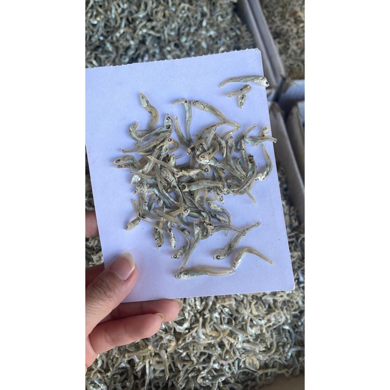 

Ikan Teri Pulau Kecil 500gr