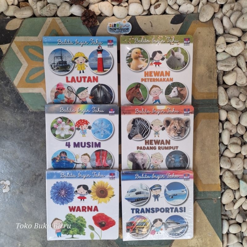 Seri balita ingin tahu (boardbook) Hewan Padang Rumput / 4 musim / hewan peternakan / lautan / trans