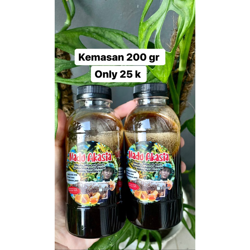 

Madu akasia jambi