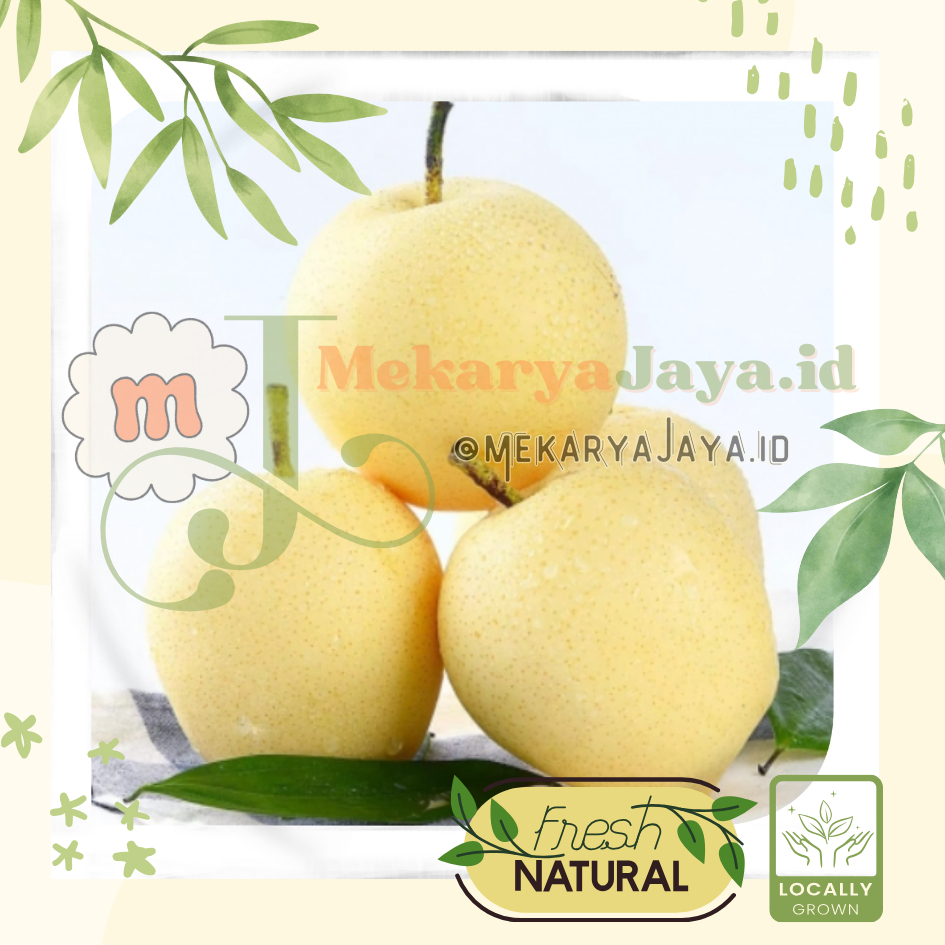 

[MJ-Fresh]- Buah Pir Century / Pear Century