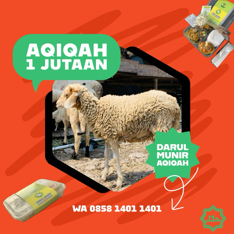 

Paket Aqiqah Hewan Gratis potong cacah