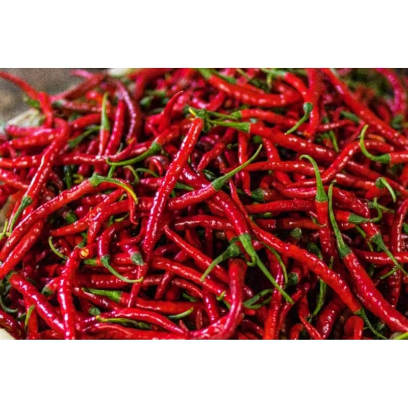 

lombok merah besar 1/2kg