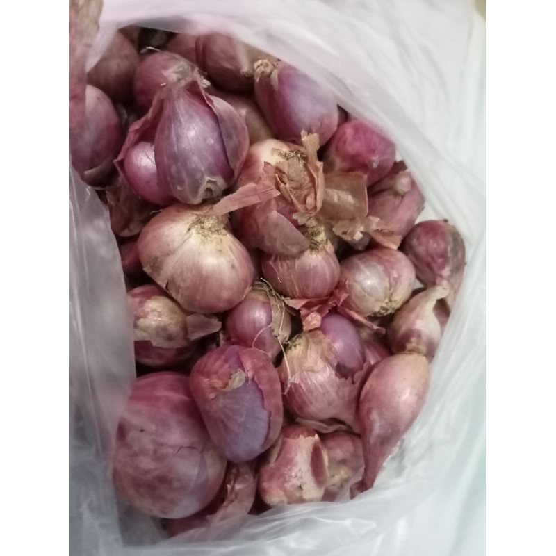 

BAWANG MERAH PER KILO 30.500