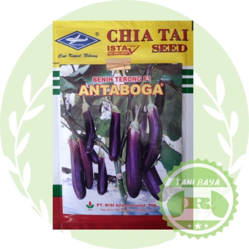 Terong Antaboga F1 10 gram