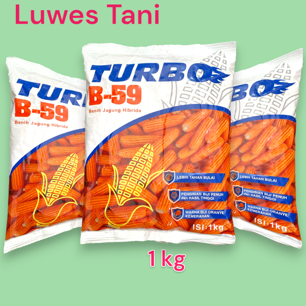 Benih Jagung Hibrida TURBO B-59 isi 1 kg