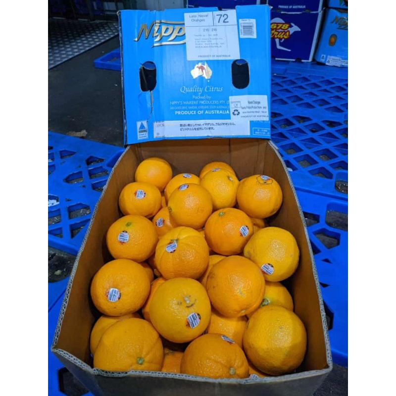 

Sunkist navel RRC