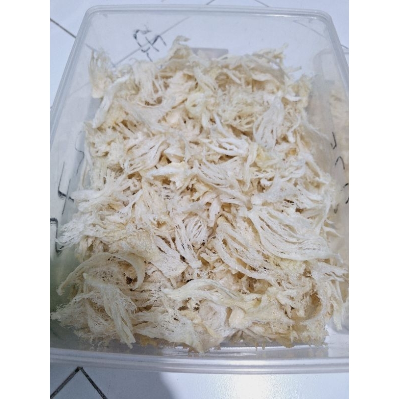

sarangwaletpatahan