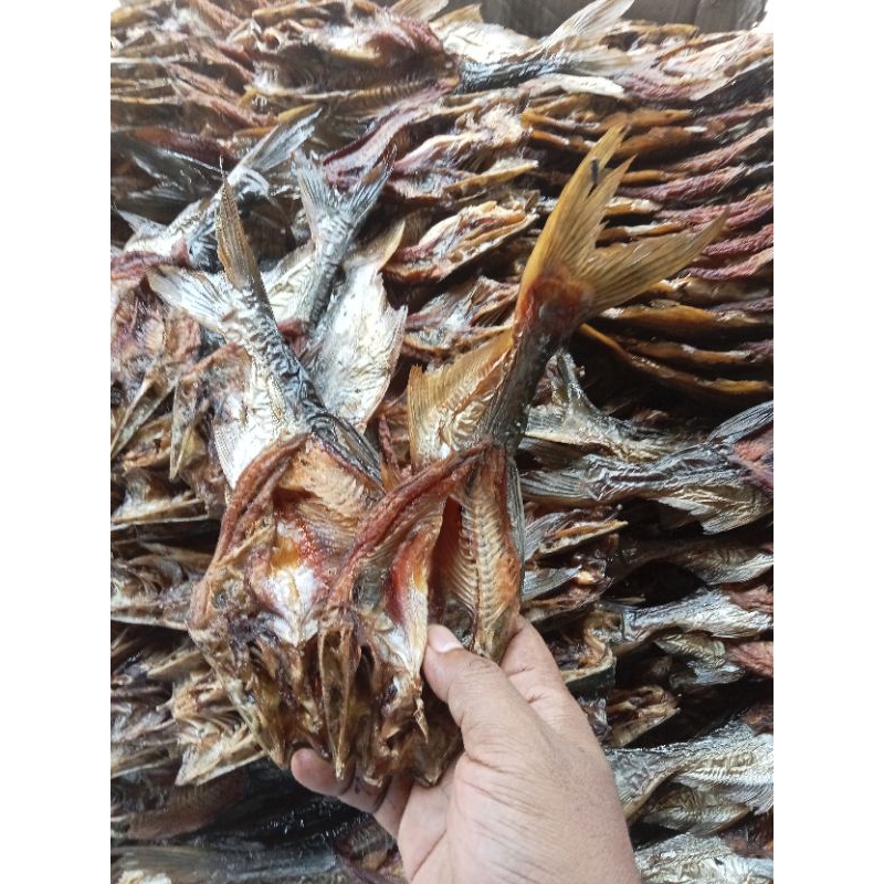 

salai ikan patin khas pekan baru 200g