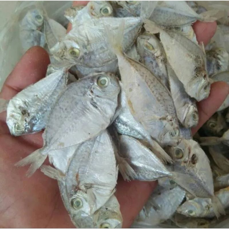 

ikan petek 1kg