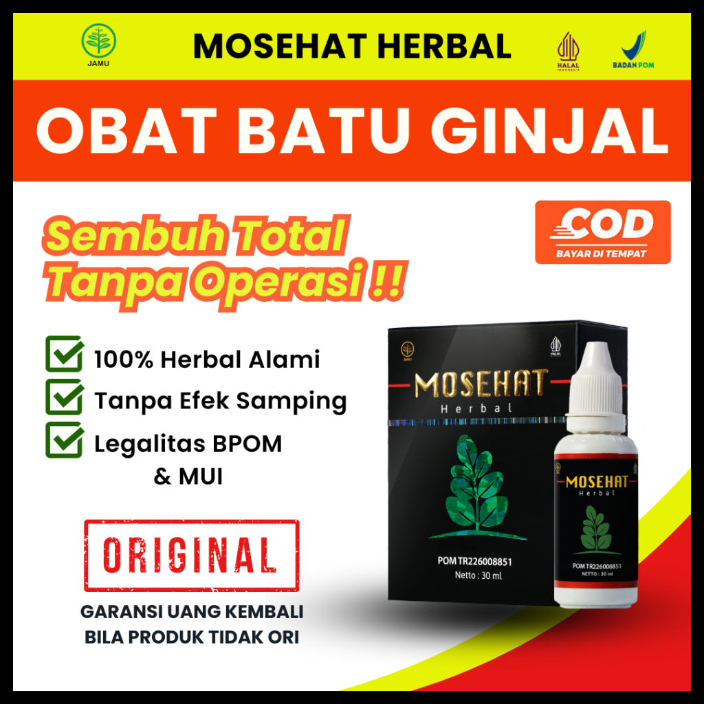 Obat Batu Ginjal Infeksi Saluran Kencing Kemih Mosehat Herbal Alami