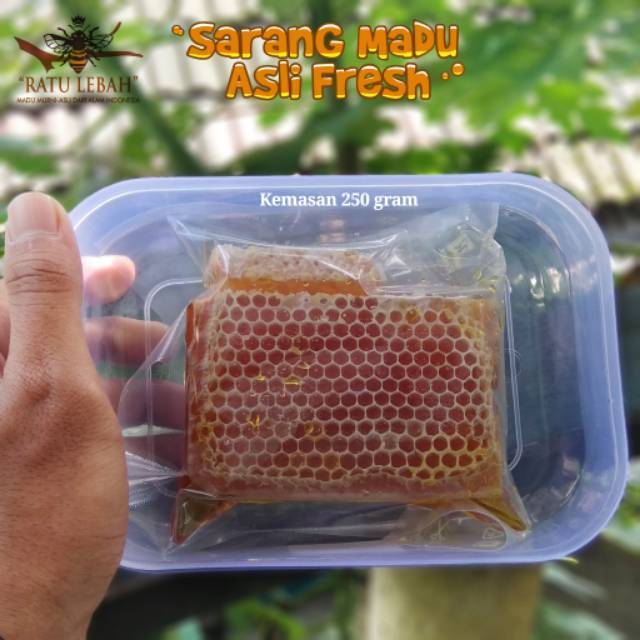 

Sarang Madu Asli 250 gram Mellifera Madu Sarang Murni