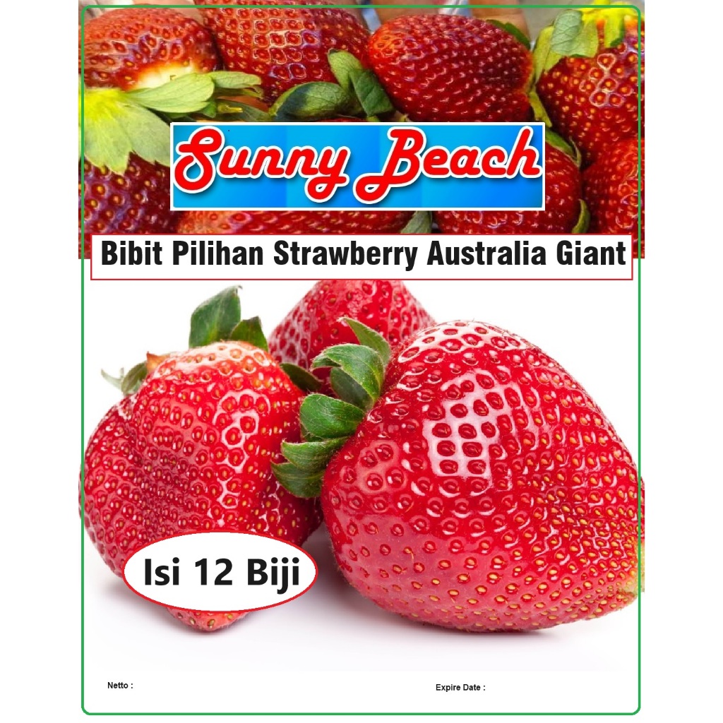 Bibit Pilihan Strawberry Australia Giant|Biji Bibit Stroberi Australia Giant |Bibit Strowberi Austra