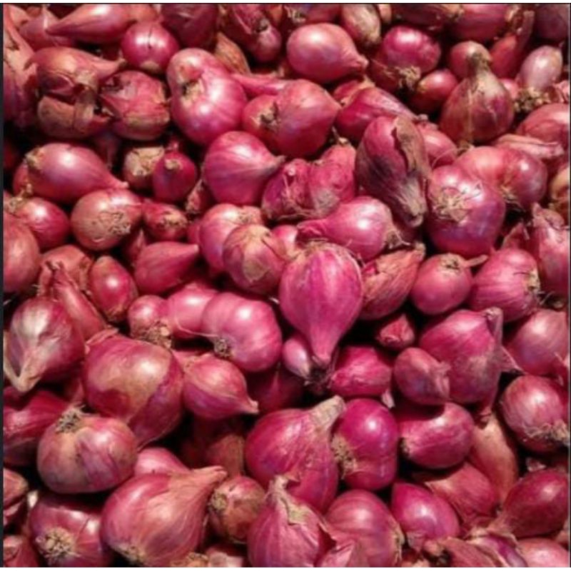 

Bawang Merah/ Bawang Putih/ Bawang Bombay