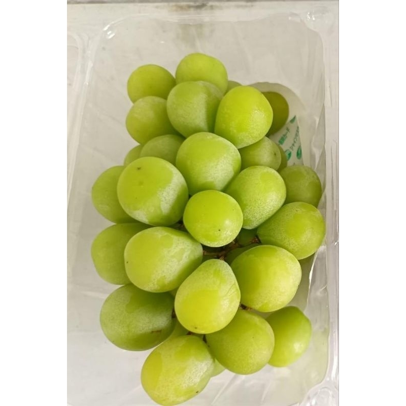 

Anggur Muscat 1 Pack