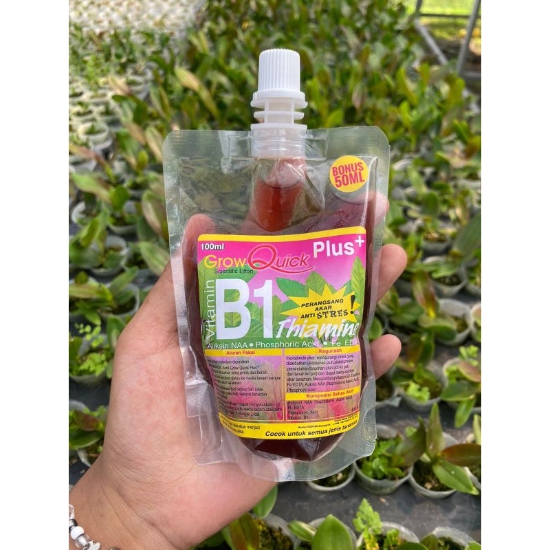 VITAMIN B1 PERANGSANG AKAR ANTI STRES