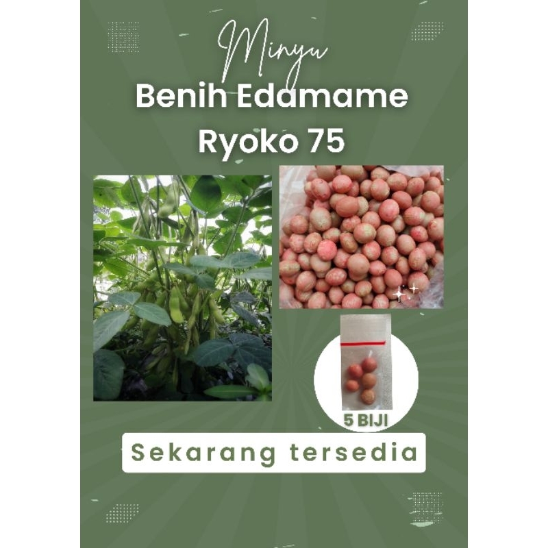 

Edamame Ryoko 75