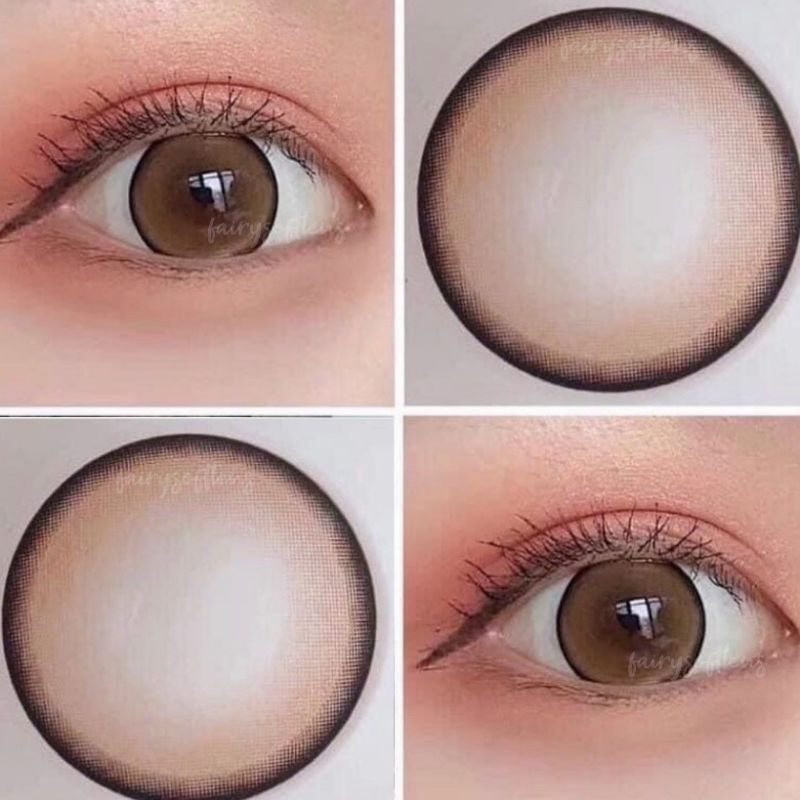 SOFTLENS SEESHALL WINK BROWN /  CHESTNUT / KONTAK LENSA