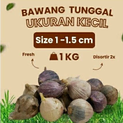 

Bawang Putih Tunggal Lanang Besar KECIL 1KG/ fresh import