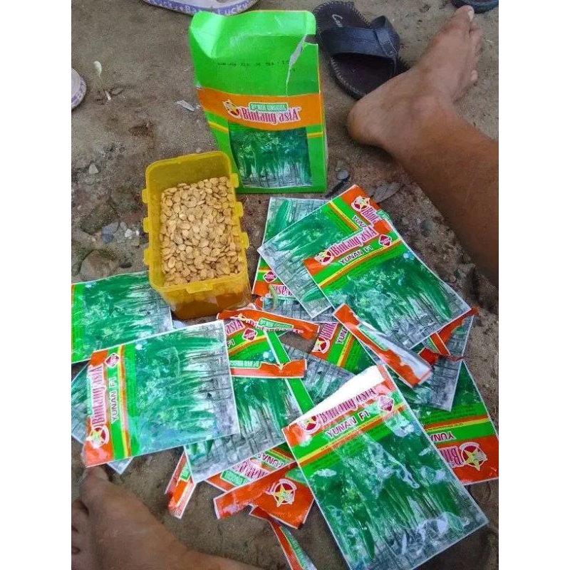 

Benih Pare Paria Yunan F1 (Cocok ditanam di segala cuaca Hujan Kemarau pancaroba ekstrim) Isi Benih 10 gram (50-65 butir) Kadaluarsa. 2025 (Terbaru Panjang)/Cap Bintang Asia/Perawatan mudah