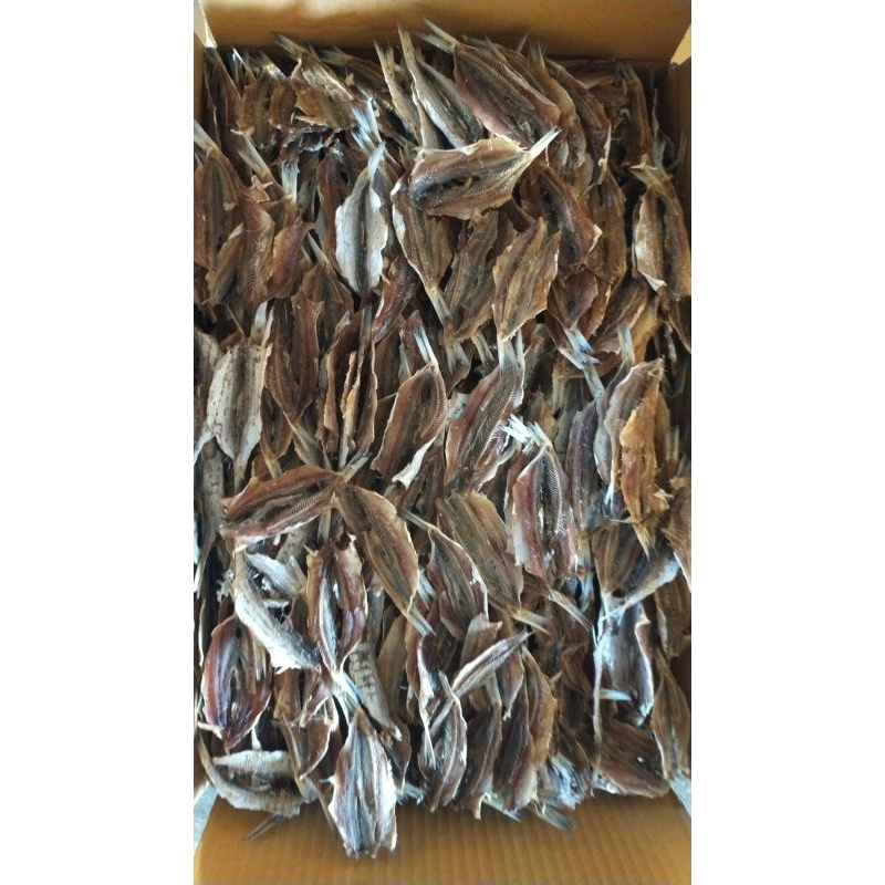 

ikan asin japu tawar kering murah 100 gram