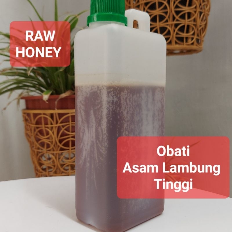 

ASOHA Madu MultiFlora Asli Murni 1kg | POLOS | NO TIPU-TIPU | Raw Honey | Kualitas SNI | Obati Asam Lambung