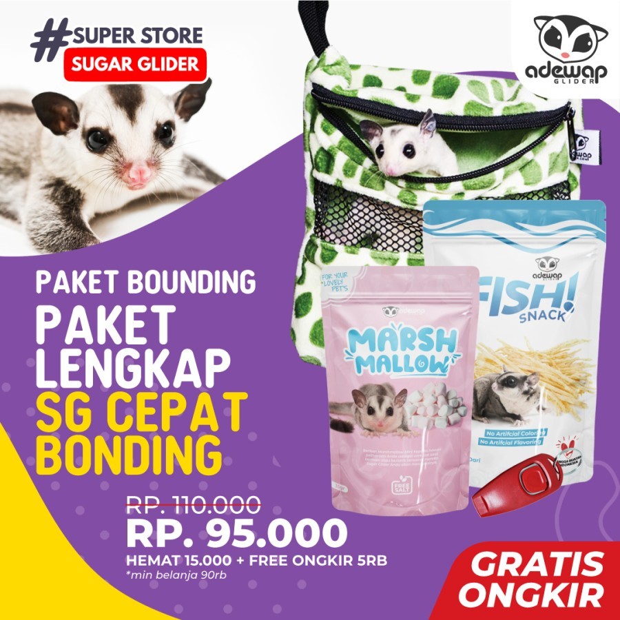 ADEWAP GLIDER Paket Bounding Sugar Glider Lengkap