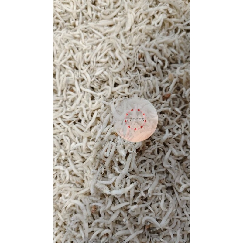 

Teri Medan Toge 500 gr