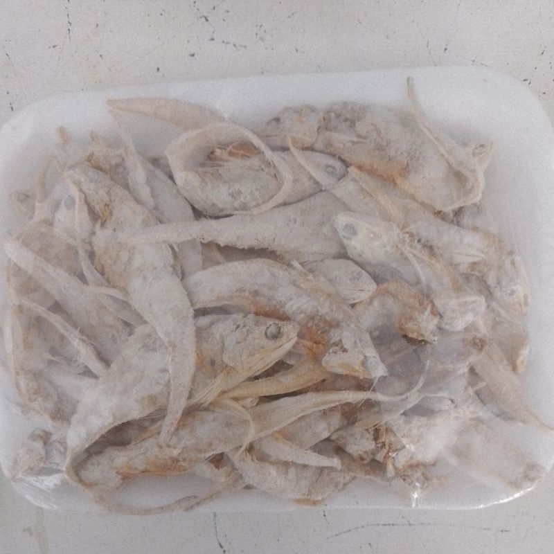 

SERBA 12.000