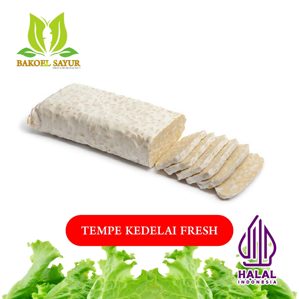 

GROSIR TEMPE SEGAR 1 PAPAN MURAH