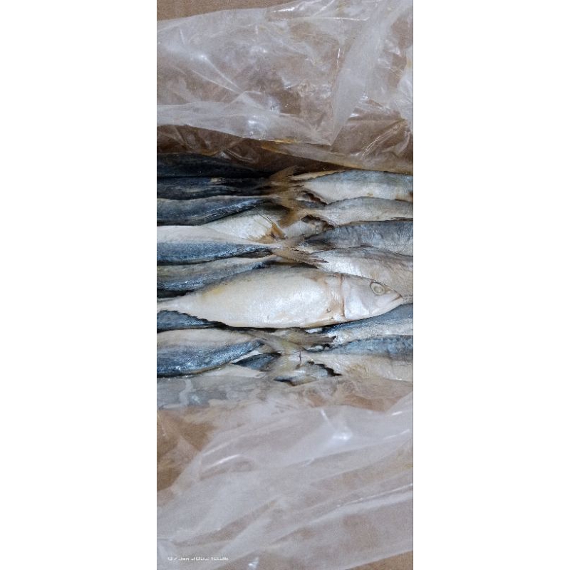 

Ikan Asin Peda Putih1/2 kg