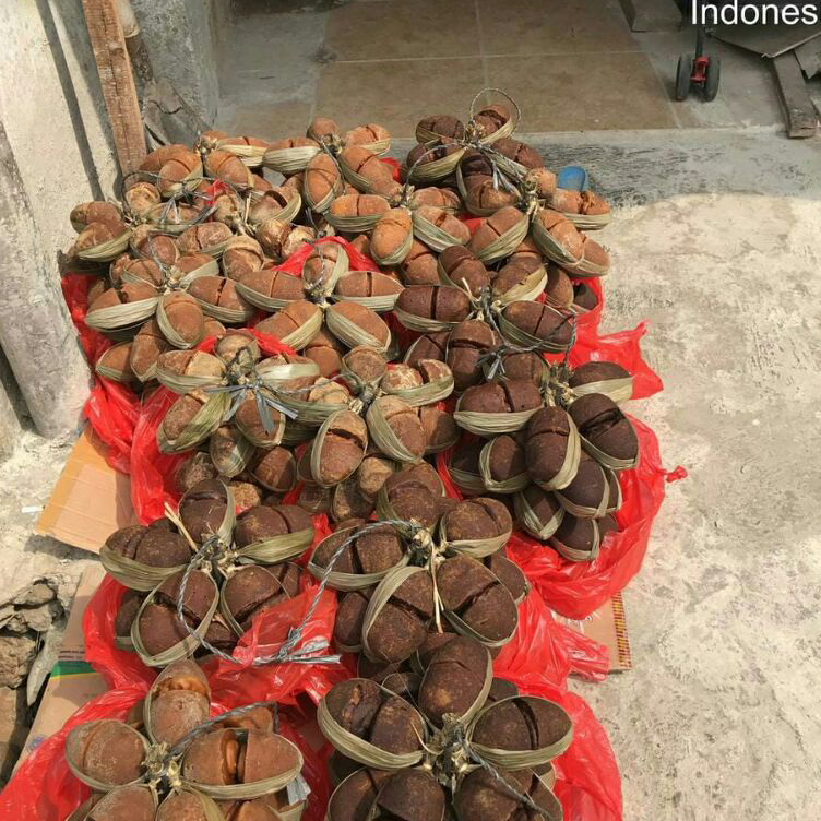 

Kirim Sekarang GULA AREN GRADE. A LEBAK BANTEN