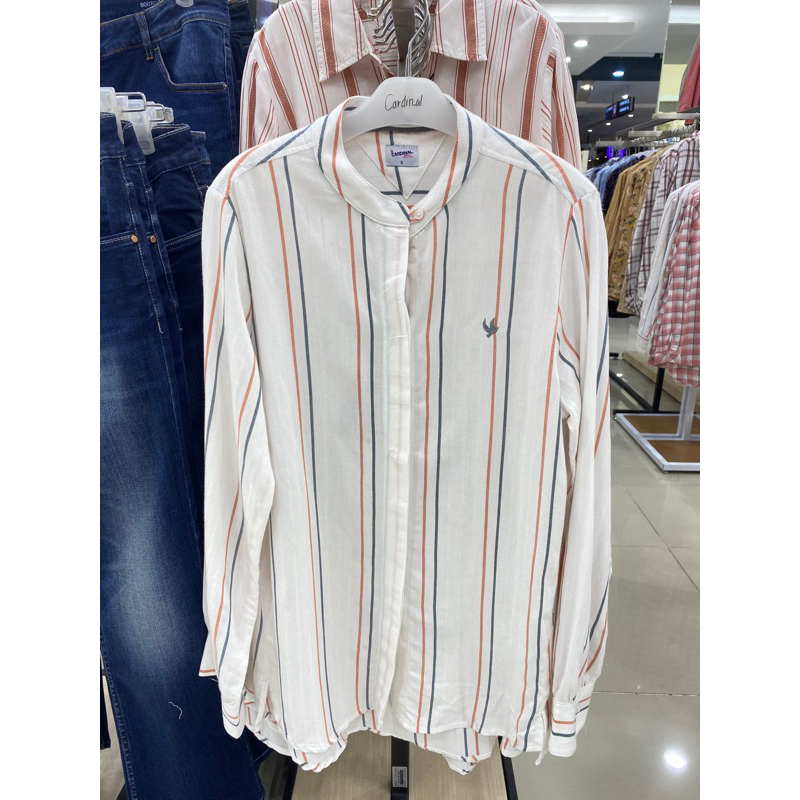 Kemeja Wanita Cardinal Girl (ORI BRAND MATAHARI)