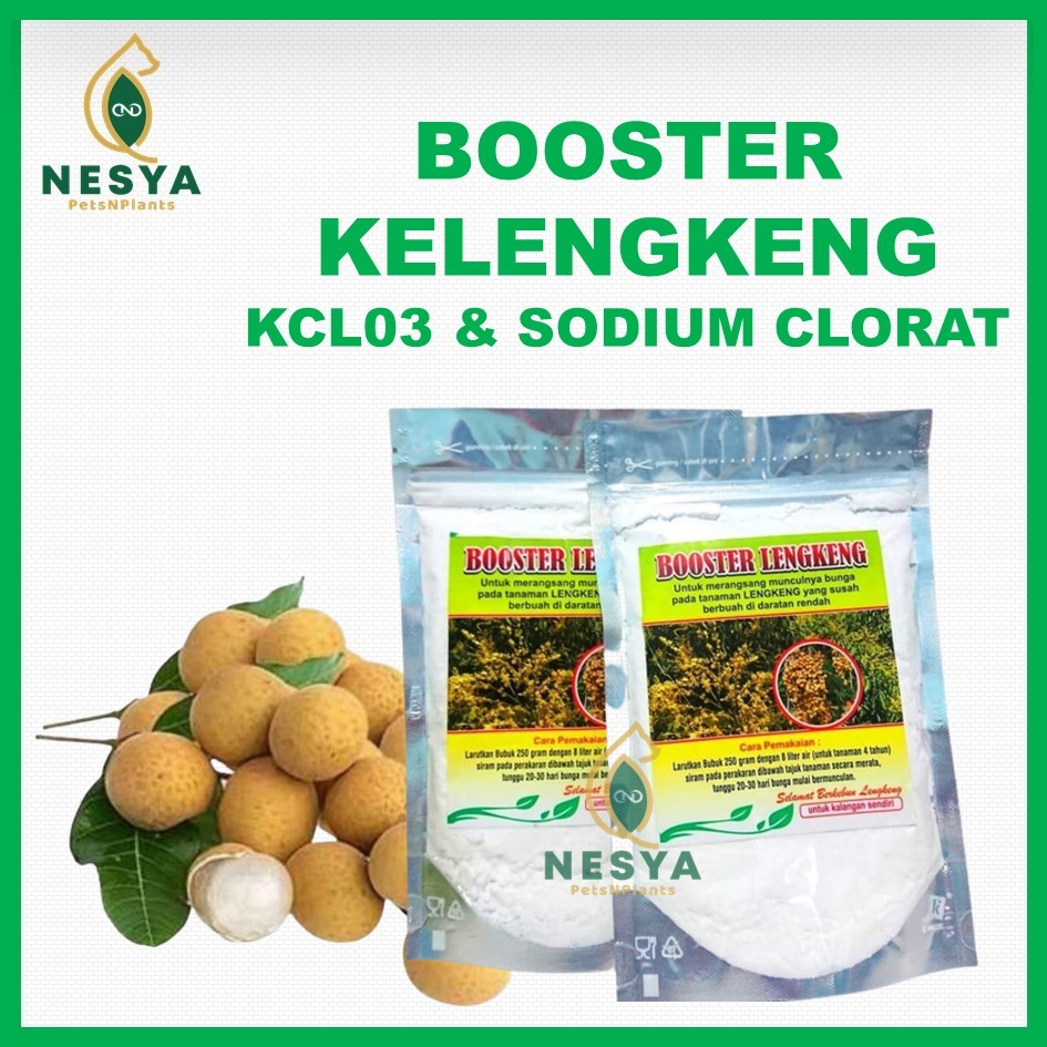 Booster Kelengkeng Pupuk Buah Kelengkeng Sodium Clorat KCLO3 Agar Cepat Berbuah