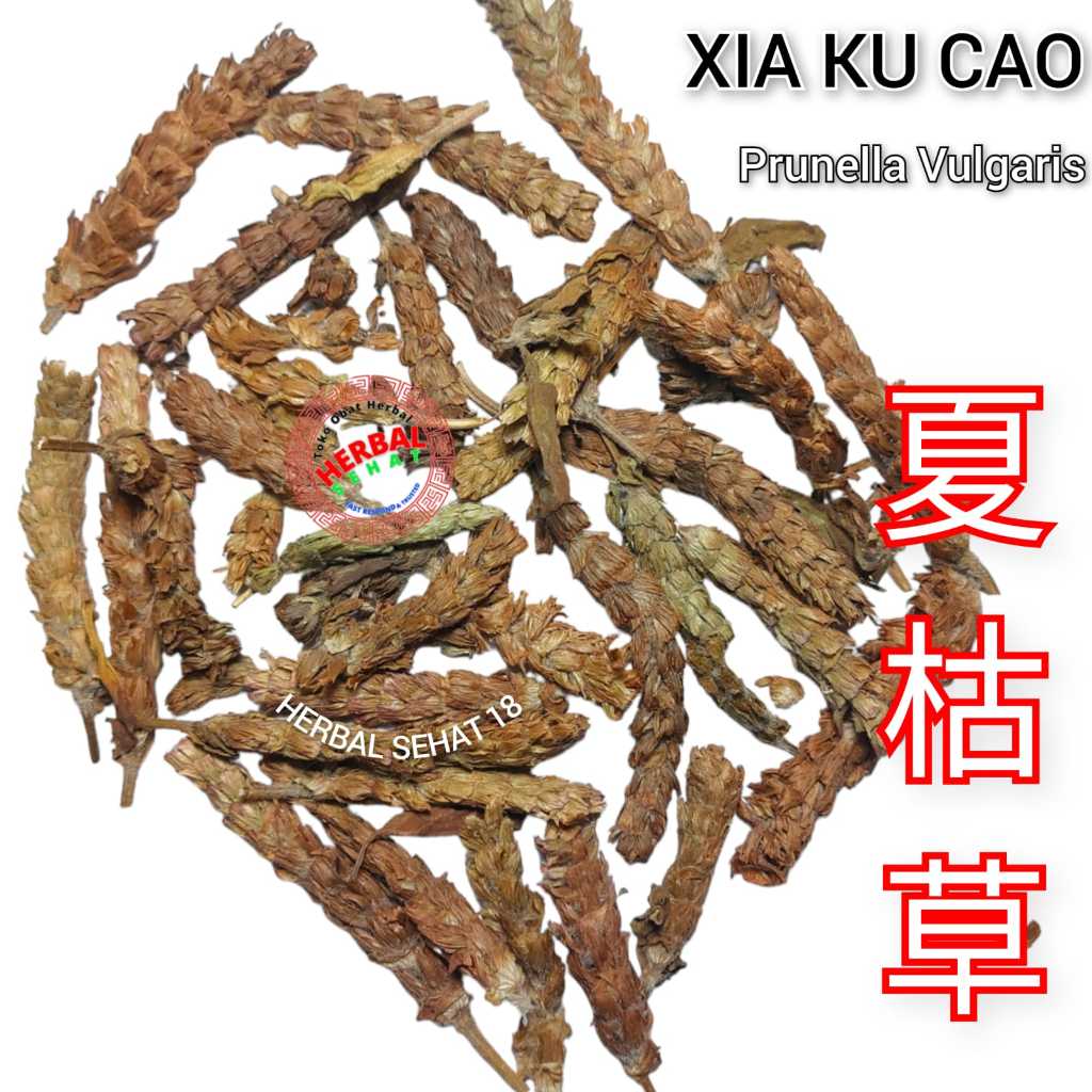 

Xia Ku Cao 100 Gram Xia Gu Cao 夏枯草 Teh Prunella Vulgaris - Grade A - HA KU CHO